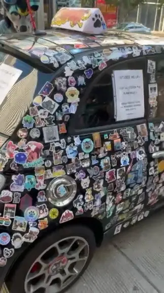 Cover image taken at Anthrocon