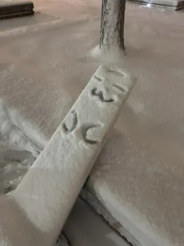 Cover image taken at Anthro New England