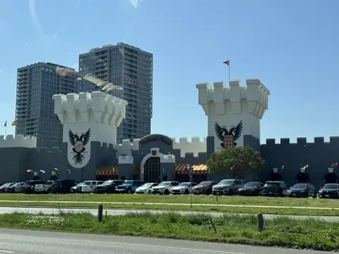 Cover image taken at Texas Furry Fiesta